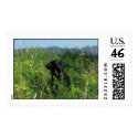 Black Labrador postage by barrettlinda Black Labrador postage