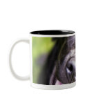Black labrador puppy looking upwards, close-up coffee mug