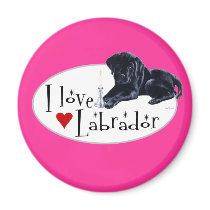 Black Labrador Puppy magnets