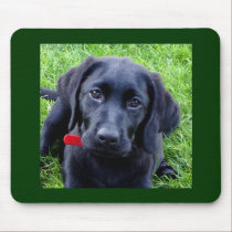 Black Labrador puppy mouse pad mousepads