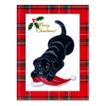Black Labrador Puppy & Santa Hat Christmas Postcard