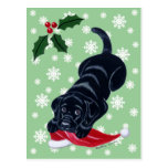 Black Labrador Puppy & Santa Hat Christmas Post Card