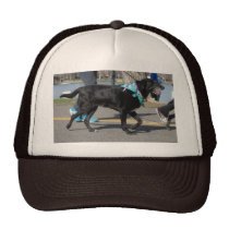 Black Labrador Retriever Ball Cap hats