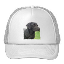Black Labrador Retriever Baseball Hat 
