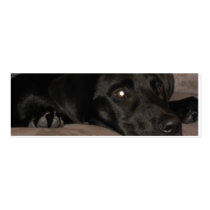 Black Labrador Retriever Bookmark business cards