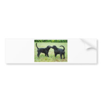 Black Labrador Retriever Bumper Sticker