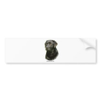Black Labrador Retriever bumper stickers by TraffordPhotos Black Labrador Retriever bumper stickers