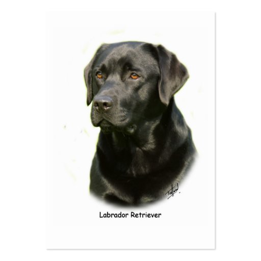 Black Labrador Retriever Business Card Templates