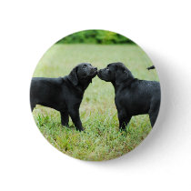 Black Labrador Retriever Pinback Button