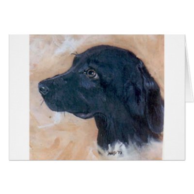 Black Labrador Retriever Greeting Card by Cornish