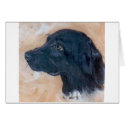 Black Labrador Retriever cards