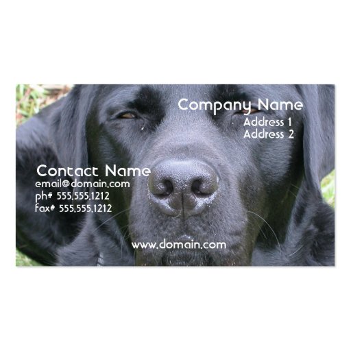 Black Labrador Retriever Dog Business Card (front side)
