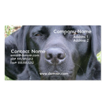 Black Labrador Retriever Dog Business Card