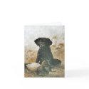 BLACK LABRADOR RETRIEVER DOG & DECOY DUCK ~ CARD