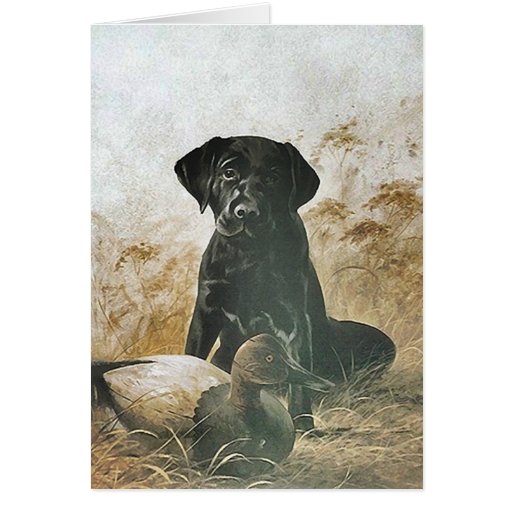 BLACK LABRADOR RETRIEVER DOG & DECOY DUCK CARD Zazzle