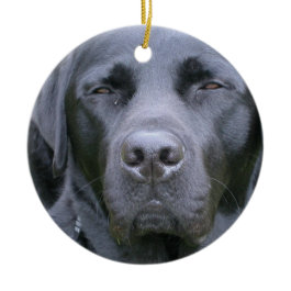 Black Labrador Retriever Dog Ornament