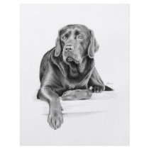 Black Labrador Retriever flyers