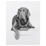 Black Labrador Retriever Custom Flyer