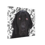 Black Labrador Retriever Gallery Wrapped Canvas