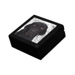 Black Labrador Retriever Gift Box