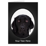 Black Labrador Retriever Greeting Card