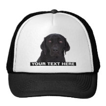 Black Labrador Retriever Hat