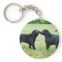 Black Labrador Retriever Key Chain