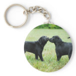 Black Labrador Retriever Key Chains