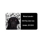 Black Labrador Retriever Labels