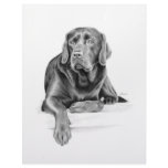 Black Labrador Retriever Letterhead Template
