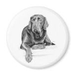 Black Labrador Retriever Magnets