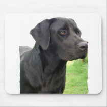 Black Labrador Retriever Mouse Pad