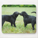 Black Labrador Retriever Mouse Mats
