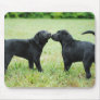 Black Labrador Retriever Mouse Mats