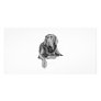 Black Labrador Retriever Photo Card Template