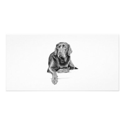 Black Labrador Retriever Photo Card Template by DrawnByDebbie