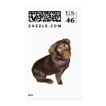 Black Labrador Retriever Postage