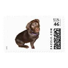 Black Labrador Retriever Postage