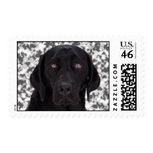 Black Labrador Retriever Postage Stamp