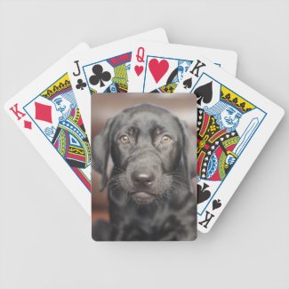 20% Off Custom Bicycle Playing Cards (Zazzle Coupon)