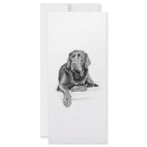 Black Labrador Retriever rack cards by DrawnByDebbie Black Labrador Retriever rack cards