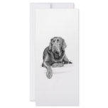 Black Labrador Retriever Customized Rack Card