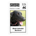 Black Labrador Retriever Stamp