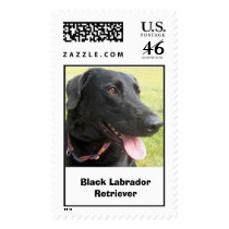 Black Labrador Retriever Stamp by cvallesf Black Labrador Retriever Stamp