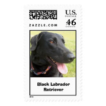 Black Labrador Retriever Stamps