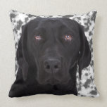 Black Labrador Retriever Throw Pillows