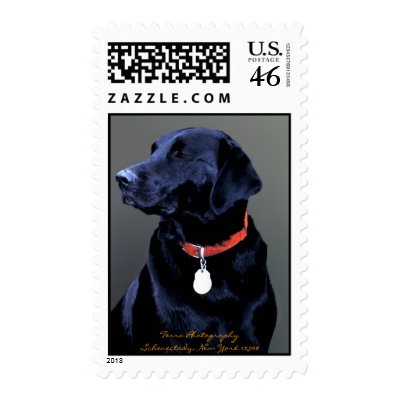 Black Labrador Retriever version 2 - postage stamp