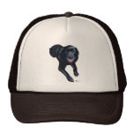 Black Labrador Smiling Mesh Hats