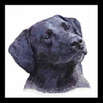 Black Labradore Retriever Print posters