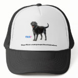 Black Labs Group Hat